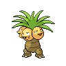 stakataka